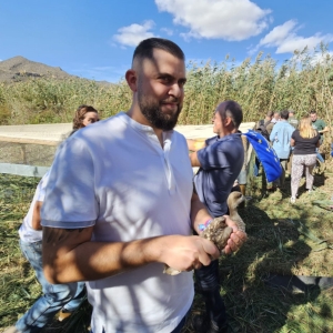 18_10_2023_Reintroducción Cerceta pardilla (3) 18_10_2023_Reintroducción Cerceta pardilla (3)