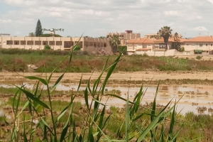 28_06_2023_Mazarrón lucha contra la plaga de mosquitos con drones (2) 28_06_2023_Mazarrón lucha contra la plaga de mosquitos con drones (2)