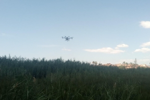 28_06_2023_Mazarrón lucha contra la plaga de mosquitos con drones (3) 28_06_2023_Mazarrón lucha contra la plaga de mosquitos con drones (3)