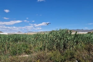 28_06_2023_Mazarrón lucha contra la plaga de mosquitos con drones (4) 28_06_2023_Mazarrón lucha contra la plaga de mosquitos con drones (4)