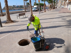 7_7_2025_Control_Plagas_004 7_7_2025_Control_Plagas_004