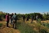 ANSE ORGANIZA UN CURSO DE AGROECOLOGÍA EN CAÑADA DE GALLEGO