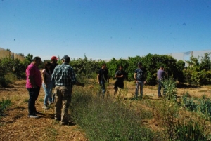 19_08_2014_CURSOAGROECOLOGIA4