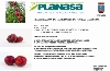 PLANASA LLEVARÁ  A CABO UNA PRESENTACIÓN DE VARIEDADES DE FRUTAL DE HUESO