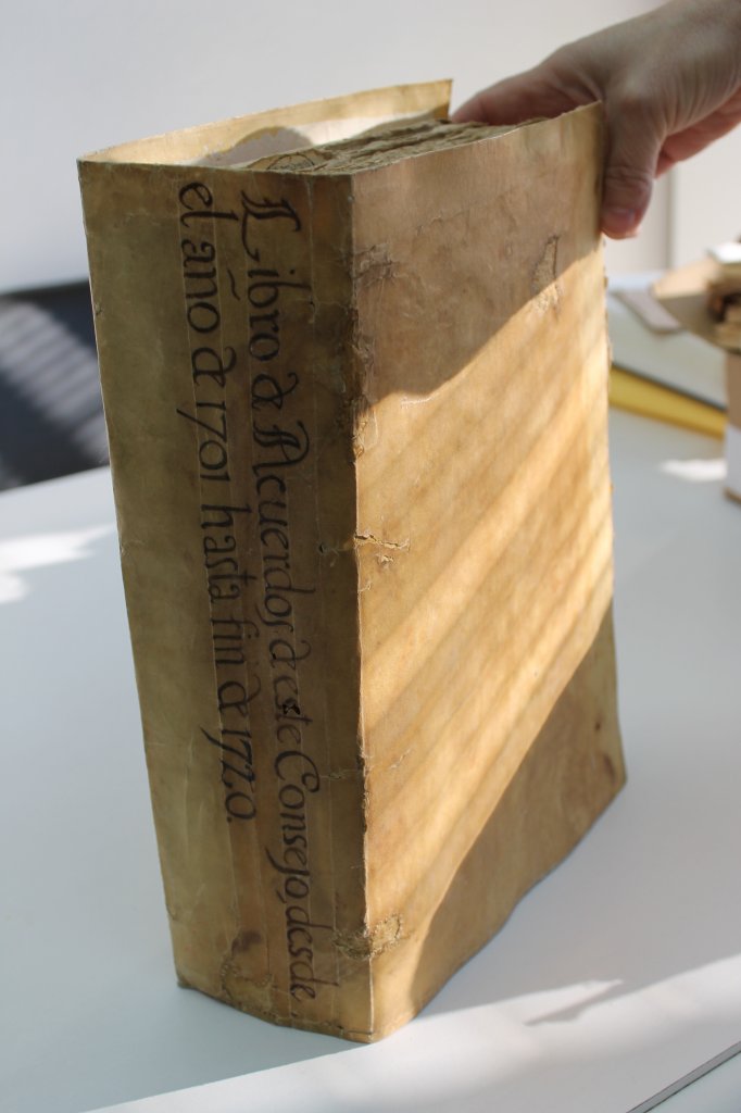 ACTAS CAPITULARES Y PRENSA CARMES? (1)