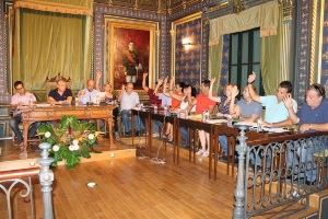 PLENO EXTRAORDINARIO AGOSTO 2012 (8)