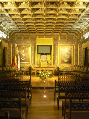 SALON DE PLENOS