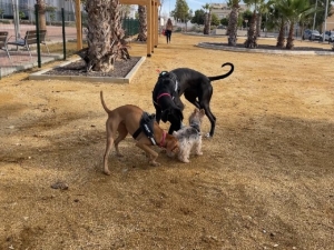 12_10_2022_12_10_2022_PUERTO DE MAZARRÓN ESTRENA LA PRIMERA ÁREA DE ESPARCIMIENTO CANINO (1)