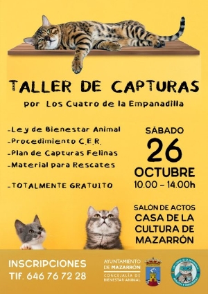 20_09_24_taller_gatos