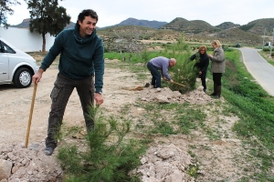 REFORESTACION PINOS (1)