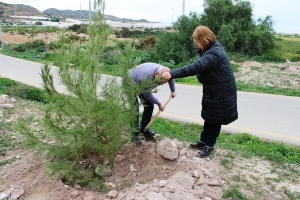 REFORESTACION PINOS (3)