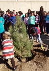 EL C.E.I.P. “INFANTA LEONOR” CONMEMORA EL “DÍA DEL ÁRBOL” PLANTANDO LOS PINOS DE NAVIDAD