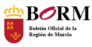 LOGO BORM