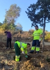 FINALIZA EL PROYECTO HORTUS VIRIDI DE FORMACIÓN Y PROFESIONALIDAD EN INSTALACIÓN Y MANTENIMIENTO DE ZONAS VERDES