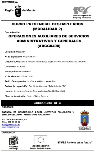 CURSO SEF AUXILIARES SERVICIOS