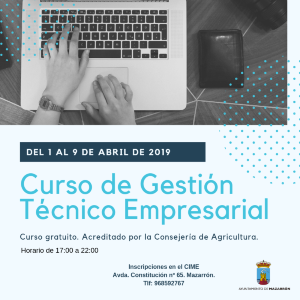 Curso de Gestión Técnico Empresarial