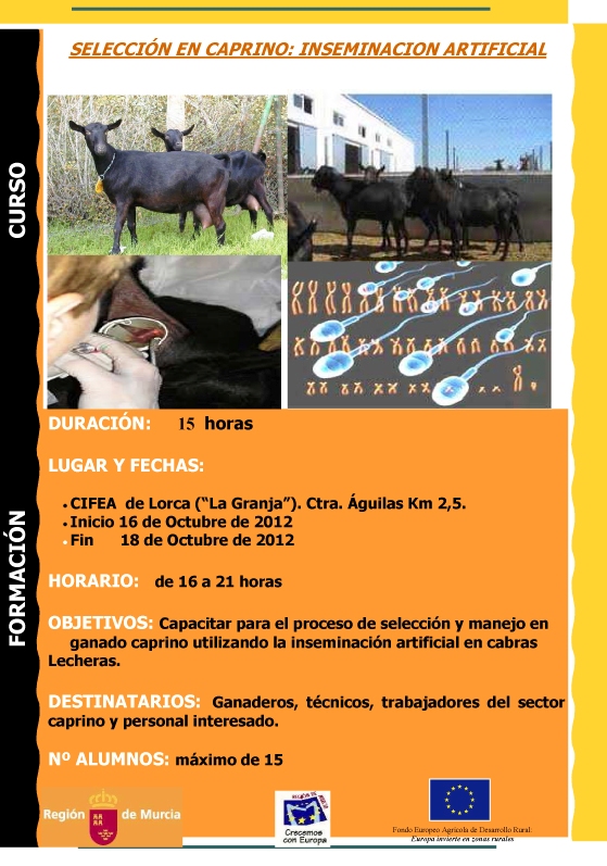 INSEMINACION CAPRINA CARTEL