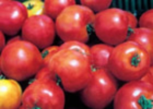 tomates_01