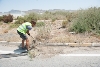 PROCEDEN A LIMPIAR LOS ARCENES DE LA CARRETERA MAZARRÓN-PUERTO