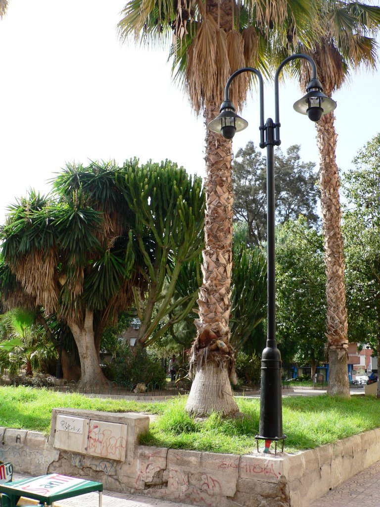 FAROLAS JARDIN LA PURISIMA (4)