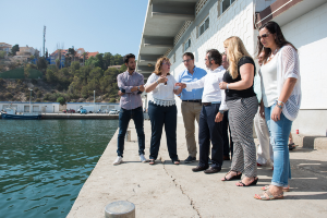 obras muelle