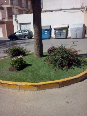 08_04_2015_ARREGLOSJARDINERIA22