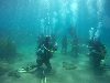 UN CENTENAR DE JÓVENES DISFRUTA DE LOS BAUTISMOS DE BUCEO Y AVISTAMIENTOS  DE CETÁCEOS PROMOVIDOS POR EL AYUNTAMIENTO