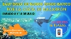 ÚLTIMOS DÍAS DE INSCRIPCIÓN PARA LOS BAUTISMOS DE BUCEO DE LA CONCEJALÍA DE JUVENTUD