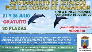 CARTEL CETACEOS