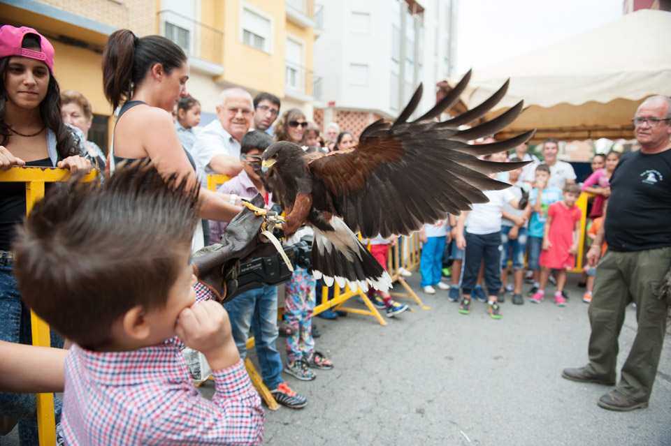 05_10_2015_DÍAMUNDIALDELASAVES (10)