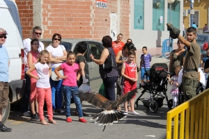 2012 DIA MUNDIAL DE LAS AVES (14)