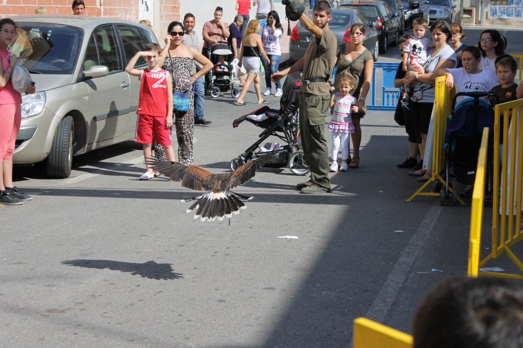 2012 DIA MUNDIAL DE LAS AVES (16)