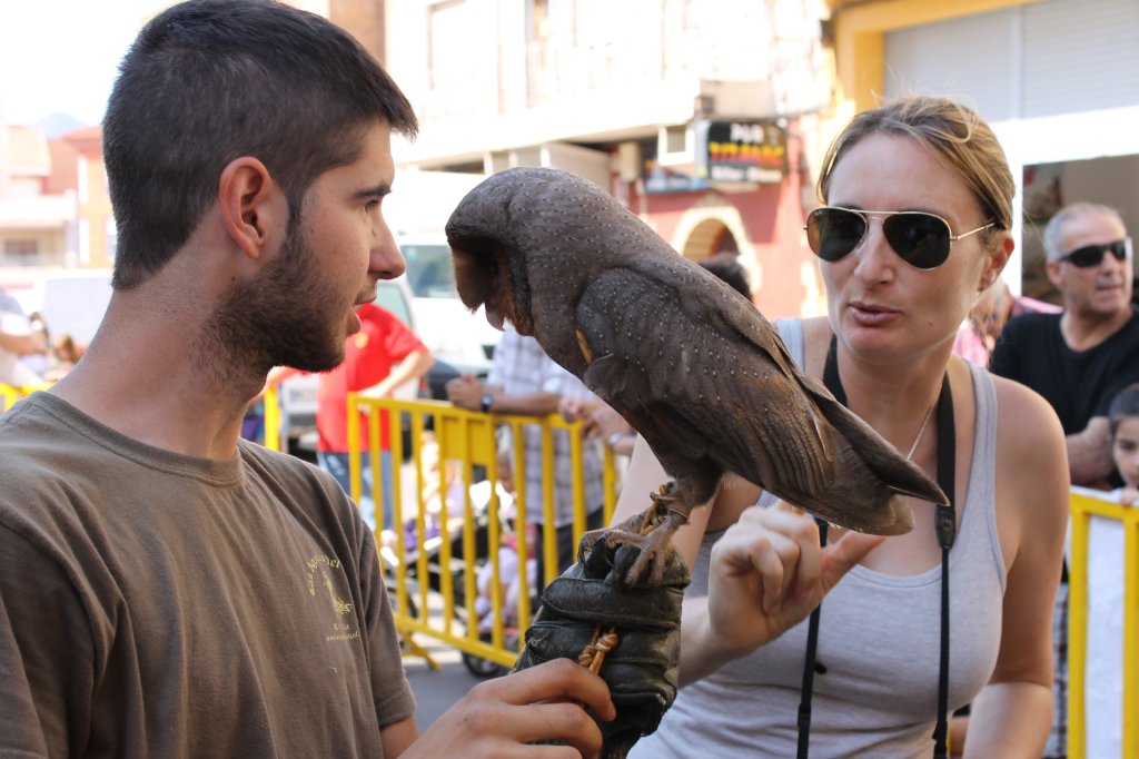 2012 DIA MUNDIAL DE LAS AVES (8)