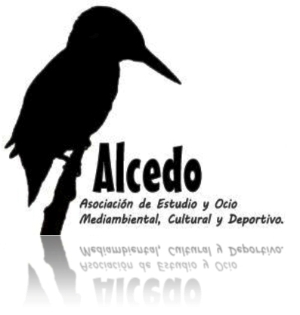 ALCEDO LOGO