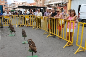 DIA MUNDIAL DE LAS AVES 2013 03