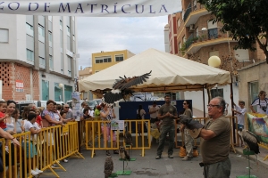 DIA MUNDIAL DE LAS AVES 2013 10