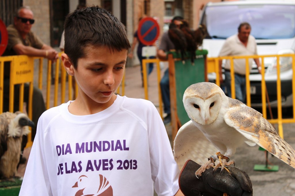 DIA MUNDIAL DE LAS AVES 2013 12