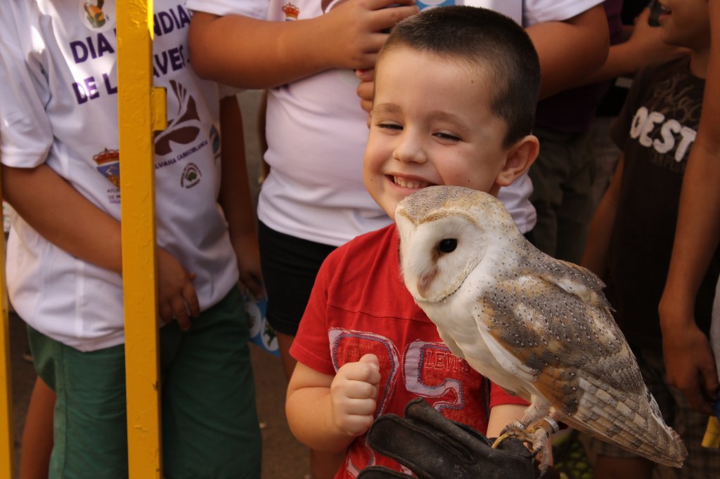 DIA MUNDIAL DE LAS AVES 2013 18