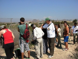 DIA MUNDIAL DE LAS AVES MIGRATORIAS 2013 (1)