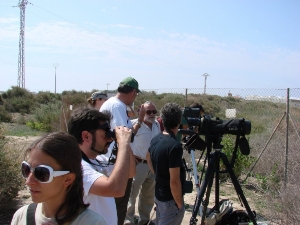 DIA MUNDIAL DE LAS AVES MIGRATORIAS 2013 (5)