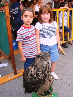 DIA MUNDIAL DE LAS AVES portada