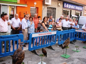 DIA MUNDIAL DE LAS AVES (3)