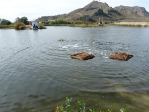 DIA_MUNDIAL_DE_LOS_HUMEDALES_2014_08