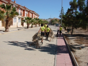 JORNADA LIMPIEZA MUNICIPAL 2013 10