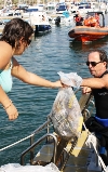 RECOGIDA MEDIA TONELADA DE BASURA DE LOS FONDOS MARINOS Y PLAYAS DE LA BAHÍA DE MAZARRÓN