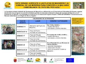 MALVASIA CABECIBLANCA ACTIVIDADES AGOSTO 01