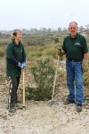 LOS RESIDENTES EXTRANJEROS SE SUMAN A LA REFORESTACIÓN DE PINOS