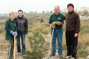 PINOS REFORESTADOS CAMPOSOL (3)