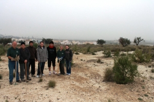 PINOS REFORESTADOS CAMPOSOL (4)