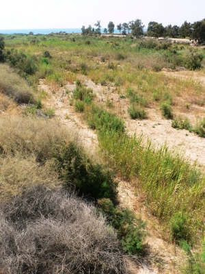 RAMBLA DE LAS MORERAS